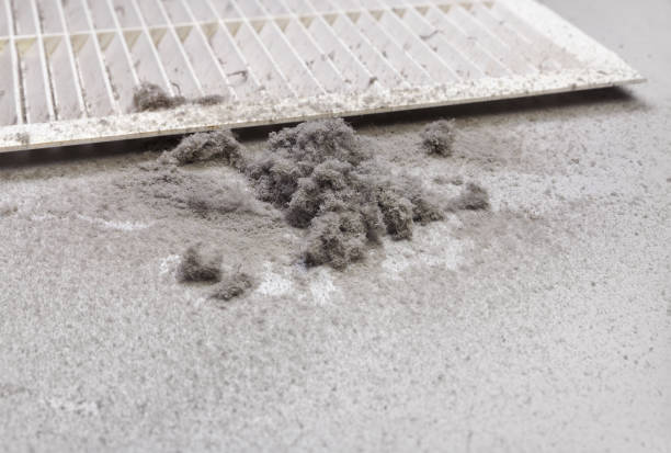 Best Air Duct Cleaning Near Me  in Riverview, MI