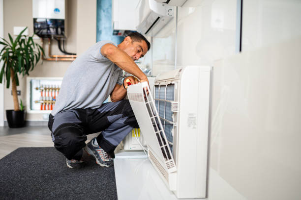 Best Air Duct Mold Removal  in Riverview, MI