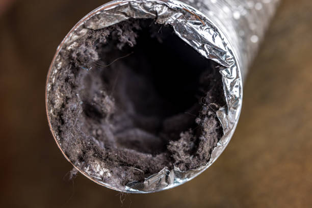Best Affordable HVAC Duct Cleaning  in Riverview, MI