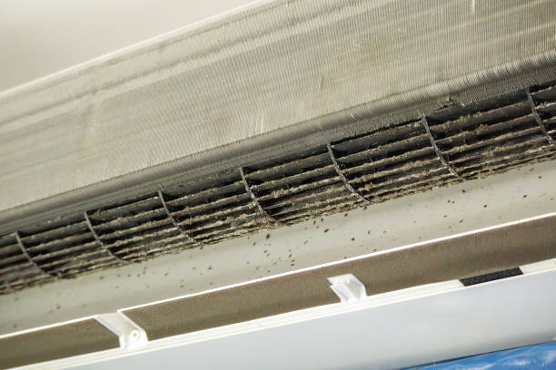 Home Air Vent Cleaning in MI