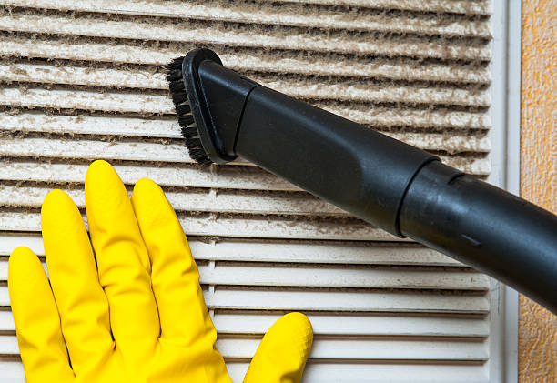 Best Air Duct Cleaning Cost  in Riverview, MI