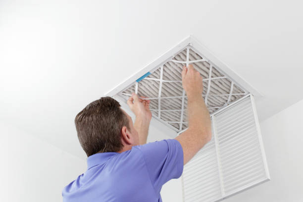 Best Air Duct Sanitizing Services  in Riverview, MI
